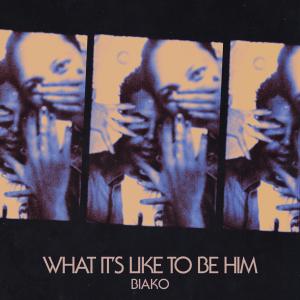 Dengarkan What It's Like To Be Him lagu dari Biako dengan lirik