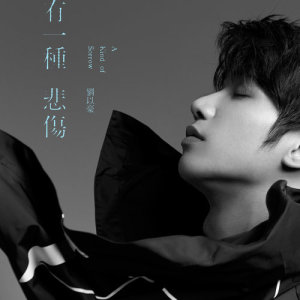 Listen to 有一種悲傷 A Kind of Sorrow song with lyrics from 刘以豪