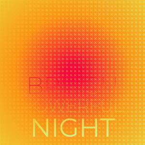 Various的专辑British Powerful Night