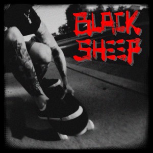 Listen to 黑羊 song with lyrics from 败犬