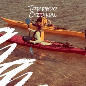 Various的专辑Torpedo Ordinal