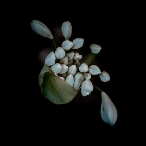 Dengarkan lagu Space and Time nyanyian Sleep Makers Samples dengan lirik