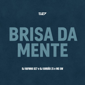 Listen to BRISA DA MENTE (Explicit) song with lyrics from DJ Rafinha dz7