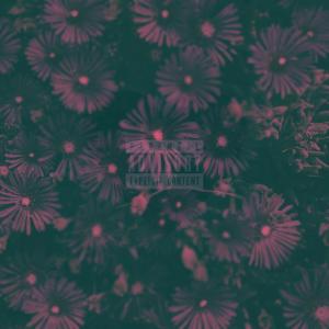 Album Tornaconto (Explicit) from GMoon