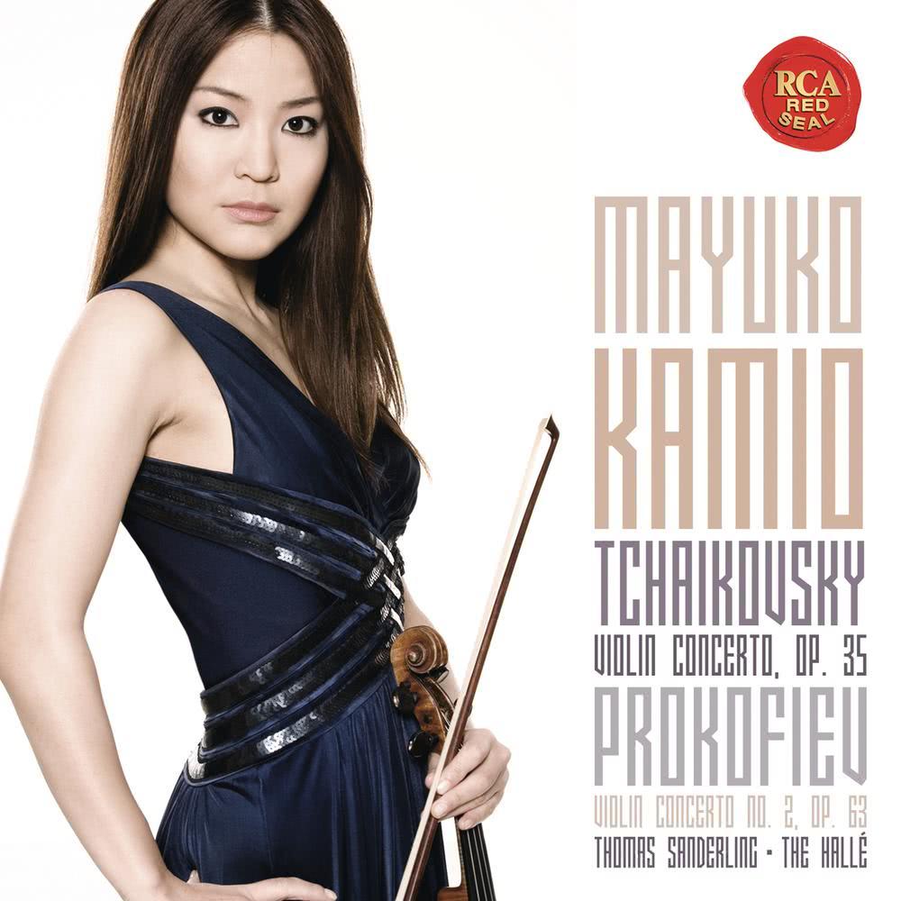 Violin Concerto in D Major, Op. 35: II. Canzonetta: Andante