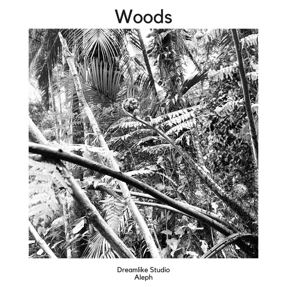 Woods