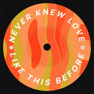 收听Paolo Sandejas的Never Knew Love Like This Before歌词歌曲