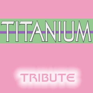 收聽Karaoke的Titanium (Originally Performed By David Guetta & Sia) [Karaoke Version] (Karaoke Version)歌詞歌曲