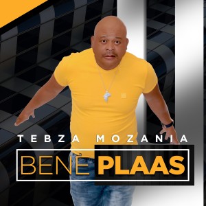 收聽Tebza Mozania的Bene Plaas (Instrumental)歌詞歌曲