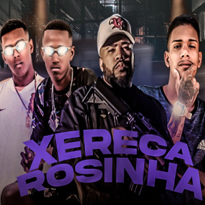 ดาวน์โหลดและฟังเพลง Xereca Rosinha พร้อมเนื้อเพลงจาก Black do Recife