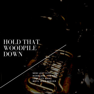 Mike Seeger的专辑Hold That Woodpile Down