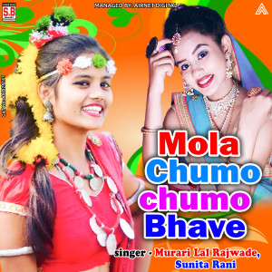 收听Murari Lal Rajwade的Mola Chumo chumo Bhave歌词歌曲