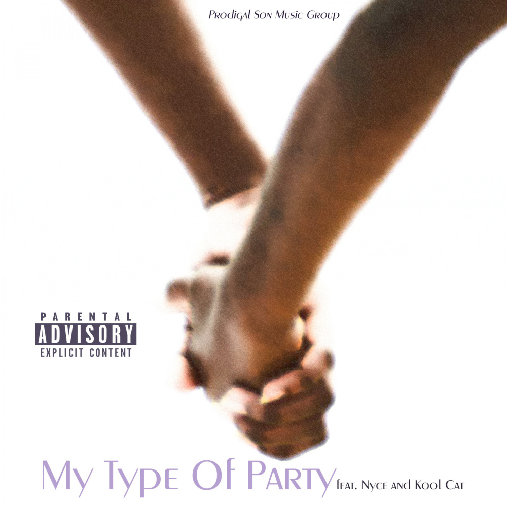 My Type Of Party (Explicit)