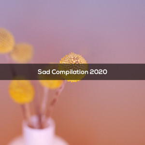 Sad Compilation 2020 dari Various Artists