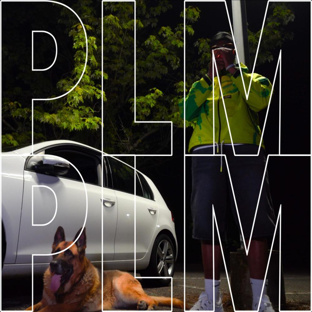 PLM (Explicit)