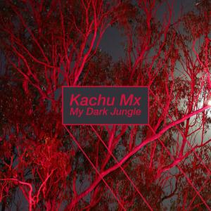 อัลบัม My Dark Jungle - Single ศิลปิน Kachu Mx