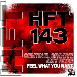 收聽Sentinel Groove的Feel What You Want歌詞歌曲