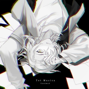 收听Unnamed的Tot Musica (Cover)歌词歌曲