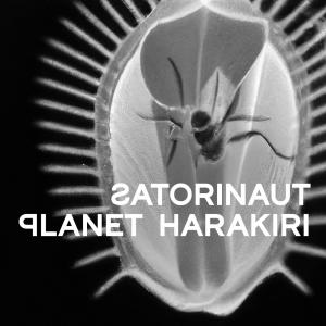Album The Hidden Tar​-​Black Monasteries, the Beauty of Infinite Sand (Split) from Satorinaut