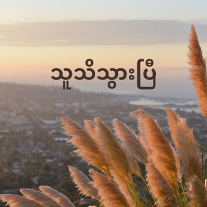 的专辑သူသိသွားပြီ (Thu Thi Thwar Pyi)