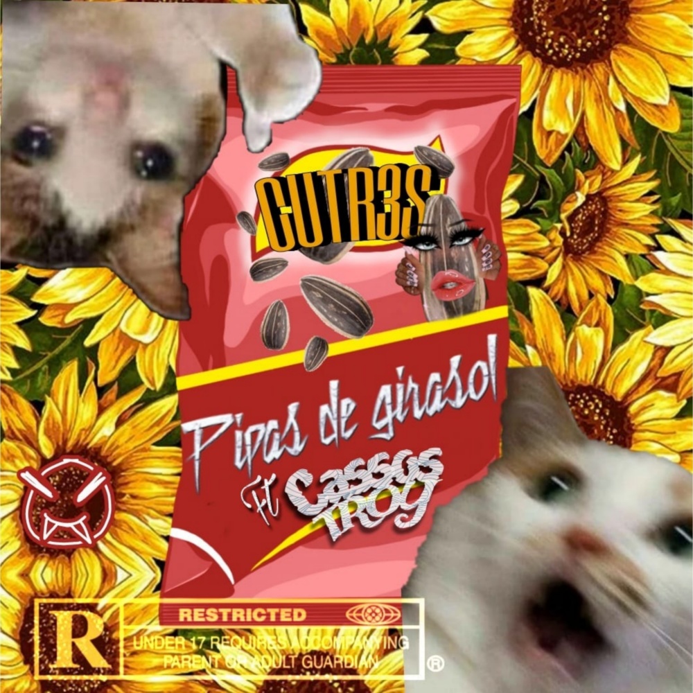 Pipas de girasol (Explicit)