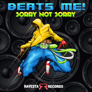Listen to Sorry Not Sorry song with lyrics from BeatsMe
