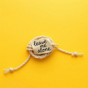 Chiddy Bang的專輯Leave Me Alone (Explicit)