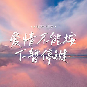 盧潤澤的專輯愛情不能按下暫停鍵