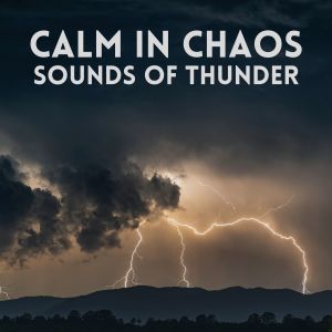 Album Calm in Chaos Sounds of Thunder from Thunder Storm