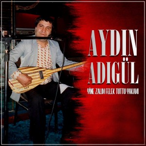 收听Aydın Adıgül的Cananım歌词歌曲