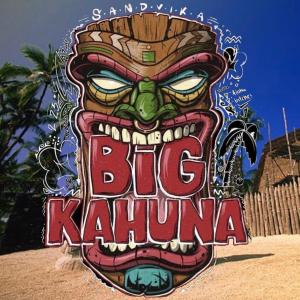 Album Big Kahuna 2023 (Sandvikas Toppår) (feat. RODA) (Explicit) from Polly