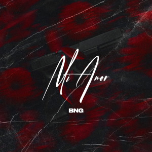 Album Mi Amor from BNG