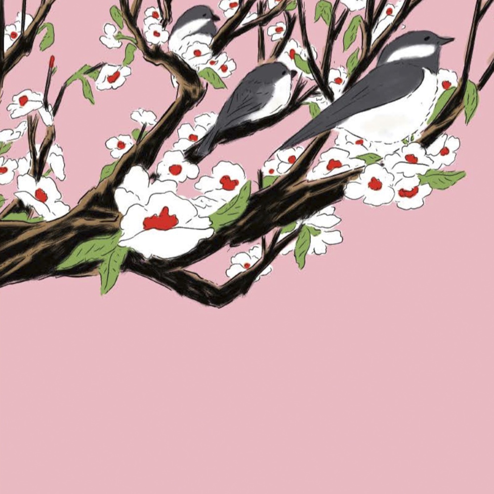 The Chickadees of Highway 3