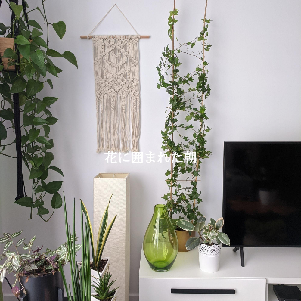 Tasteful Ambiance for Summer Loungers