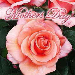 Mother's Eyes