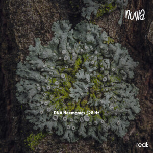 Nuvia的專輯DNA Harmonics 528 Hz