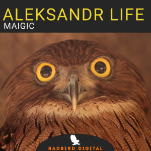 ดาวน์โหลดและฟังเพลง Magic พร้อมเนื้อเพลงจาก Aleksandr Life