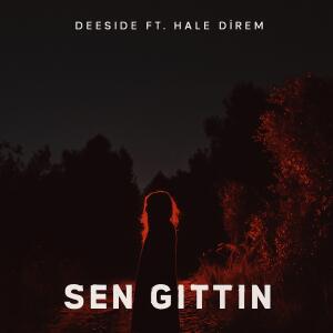 ดาวน์โหลดและฟังเพลง Sen Gittin Ya พร้อมเนื้อเพลงจาก Hale Direm