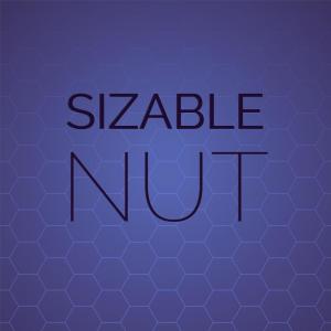 Album Sizable Nut from Various