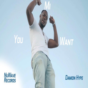 Listen to You Mi Want (Explicit) (其他) song with lyrics from Damion hype