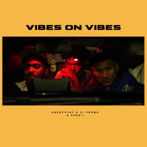 Harryvybz的專輯Vibes on Vibes (Explicit)