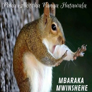 Mbaraka Mwinshehe的专辑Paka Akitoka Panya Hutawala