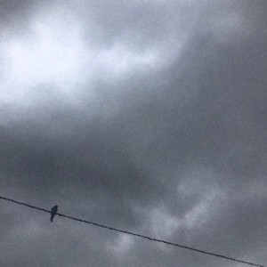 Dengarkan lagu 진실 nyanyian 차기벽 dengan lirik