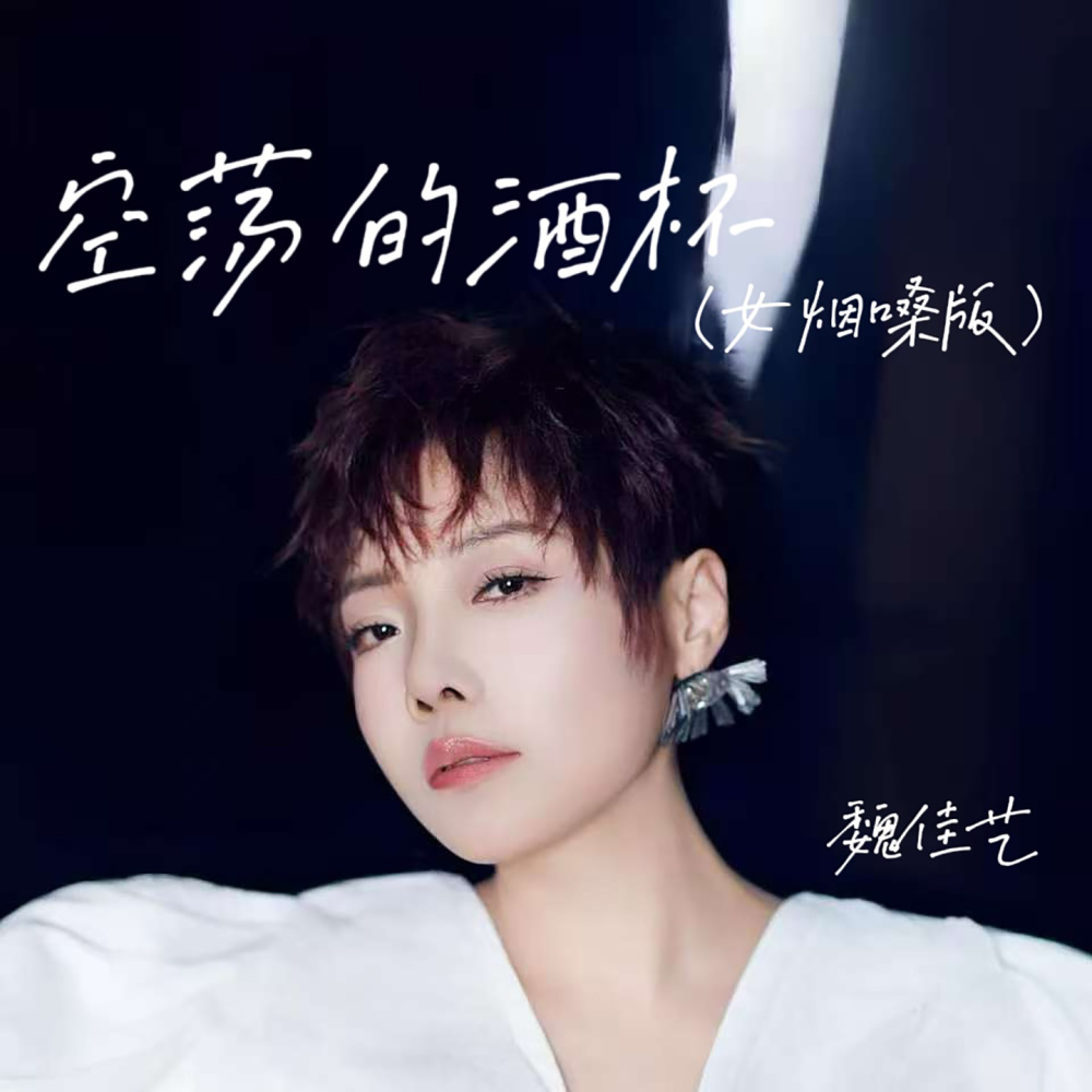 空荡的酒杯 (Dj默涵版伴奏)