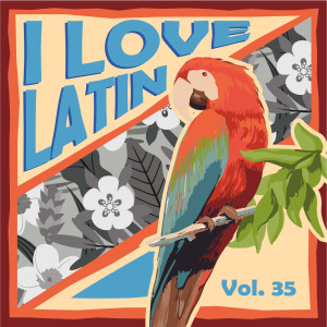 Listen to Abrázame, Querida song with lyrics from Frankie Froba y Su Piano Vertical