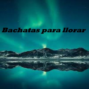 Various Artists的專輯Bachatas para Llorar