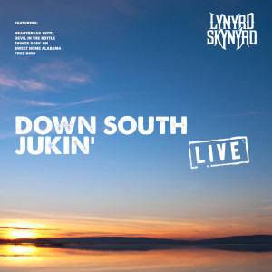 ดาวน์โหลดและฟังเพลง Simple Man (Live) พร้อมเนื้อเพลงจาก Lynyrd Skynyrd