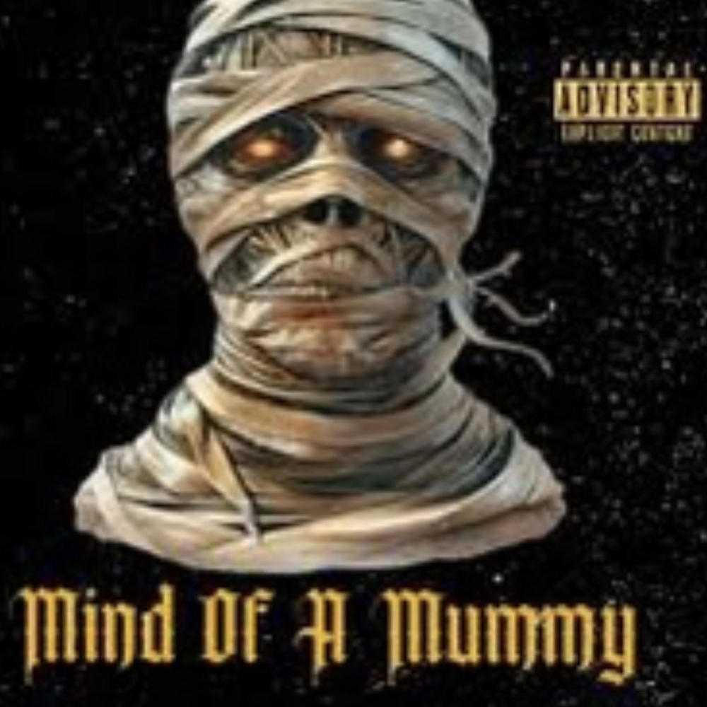 Self Paid (feat. Lilman) (Explicit)