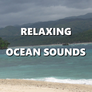 Listen to Comfy Nature Ocean Sounds song with lyrics from Deep Sleep