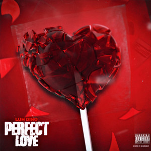 Album Perfect Love from Luh Dino